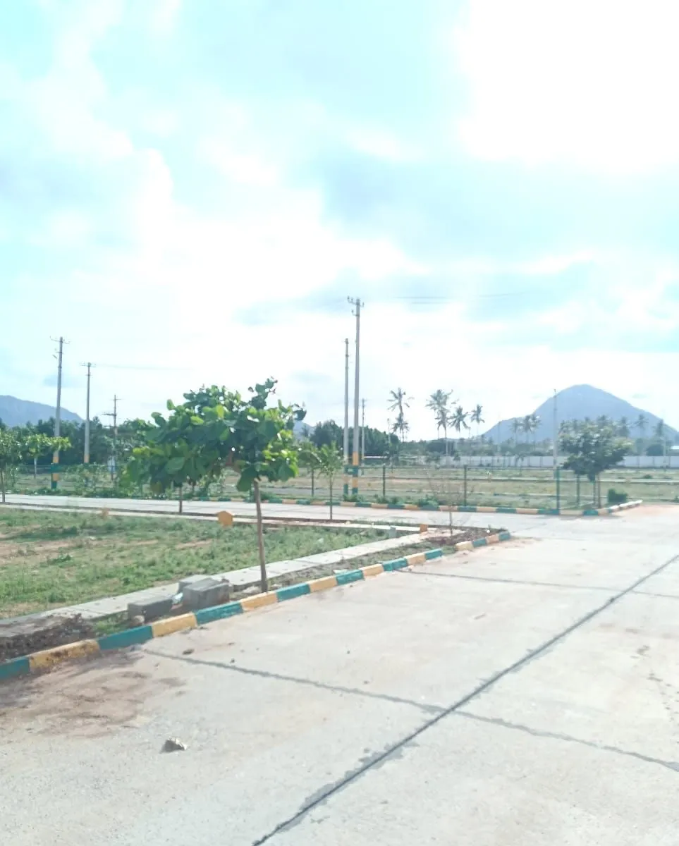 Concrete roads and planted avenue at Harmony Nandi Grandeur Hill View with Nandi Hills in the background